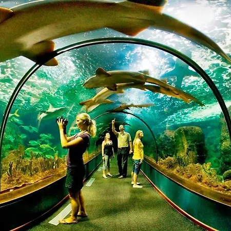 Atico Albatros Park Piscina Climatizada Tenerife 아파트 *